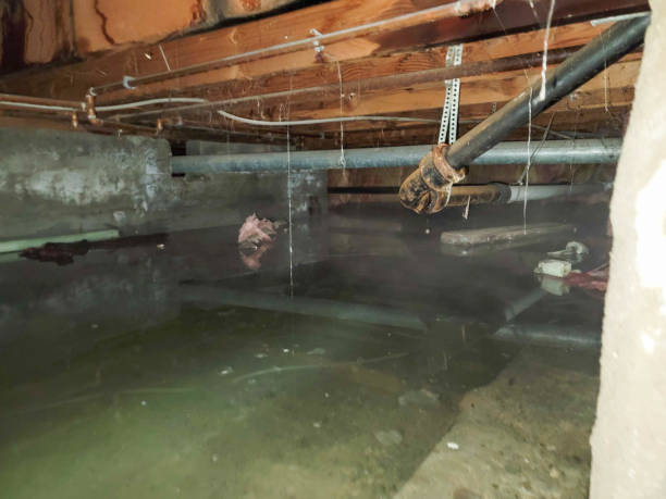 Best Local water damage restoration  in Tichigan, WI