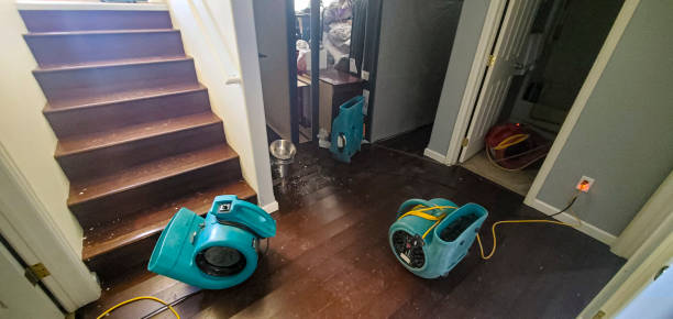 Best Fire Damage Restoration  in Tichigan, WI