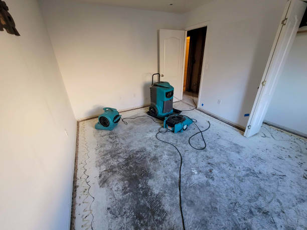 Best Residential water damage restoration  in Tichigan, WI