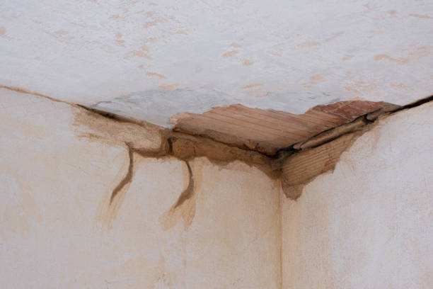 Best Water damage restoration near me  in Tichigan, WI