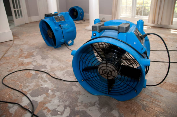 Best Commercial water damage restoration  in Tichigan, WI