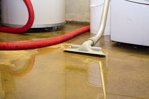 Best Professional water damage repair  in Tichigan, WI