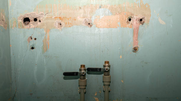 Best Flooded house restoration  in Tichigan, WI